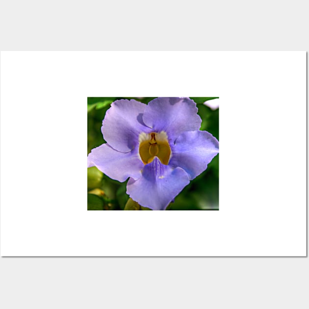 Blue Flower- Botanical Gardens San Antonio Wall Art by StonePics